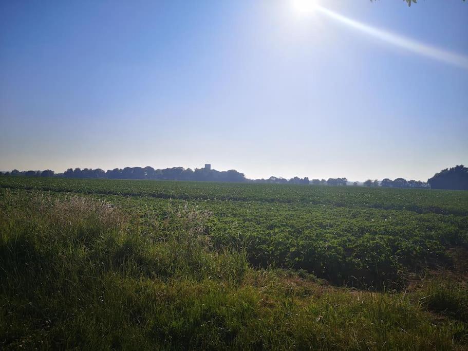 Heath Cottage Lower Southrepps North Norfolk โครเมอร์ ภายนอก รูปภาพ